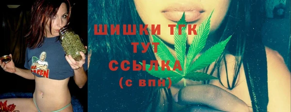 стаф Новодвинск