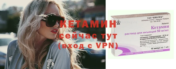 стаф Новодвинск