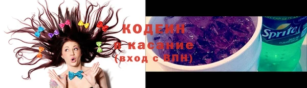 стаф Новодвинск