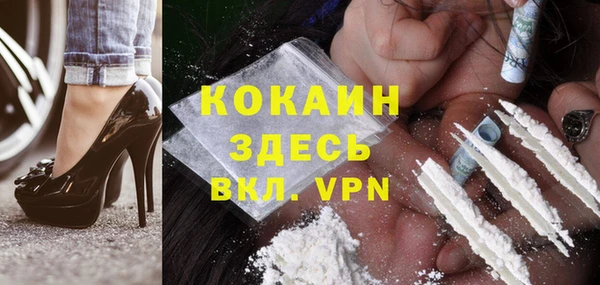 стаф Новодвинск