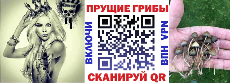 это Telegram  Сорочинск  Галлюциногенные грибы GOLDEN TEACHER  хочу наркоту 